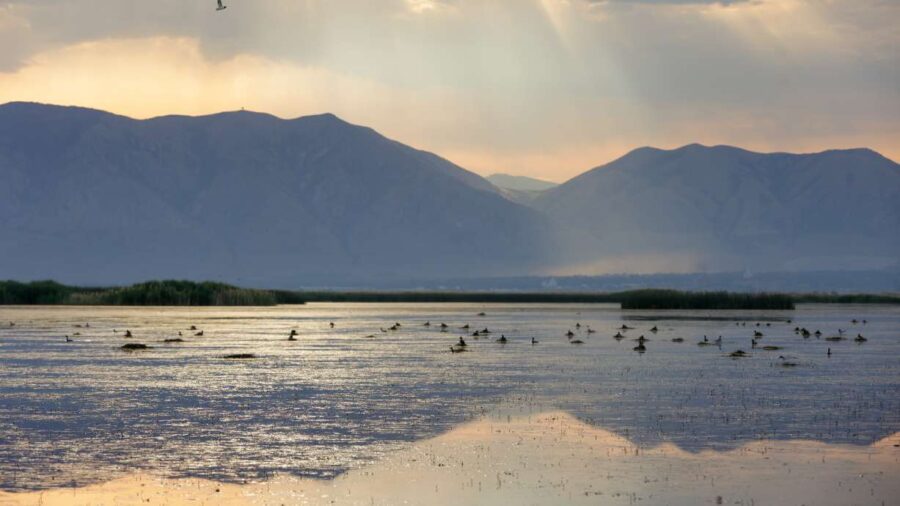 Utah's brine shrimp harvesters are breathing a sigh of relief from all the new water in The Great Salt Lake. (Ben B. Braun, Deseret News)